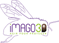 Imago